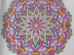 whatsapp bild 2023-07-17 um 18.31.42